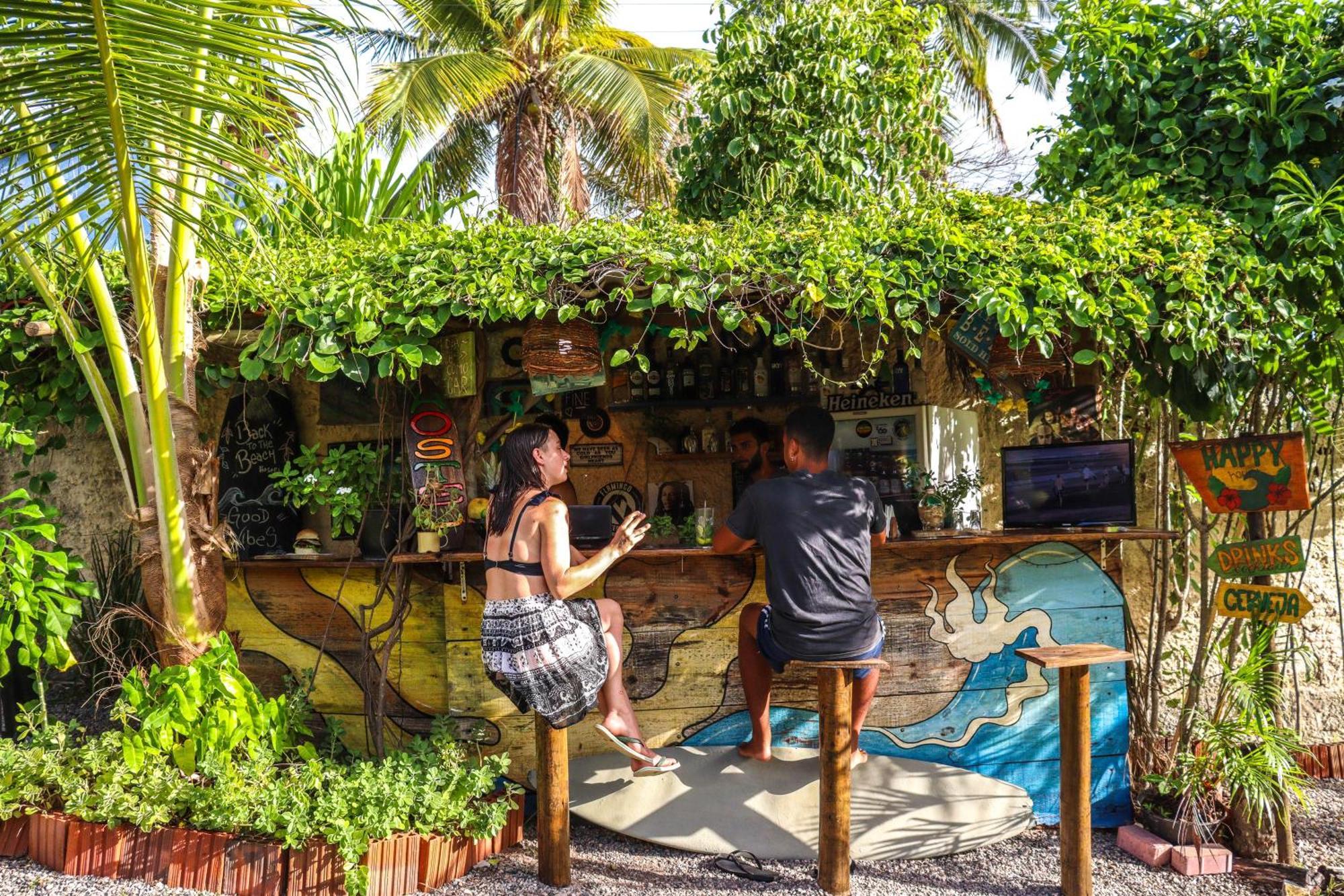 Back To The Beach Hostel - Pipa Praia de Pipa Ngoại thất bức ảnh