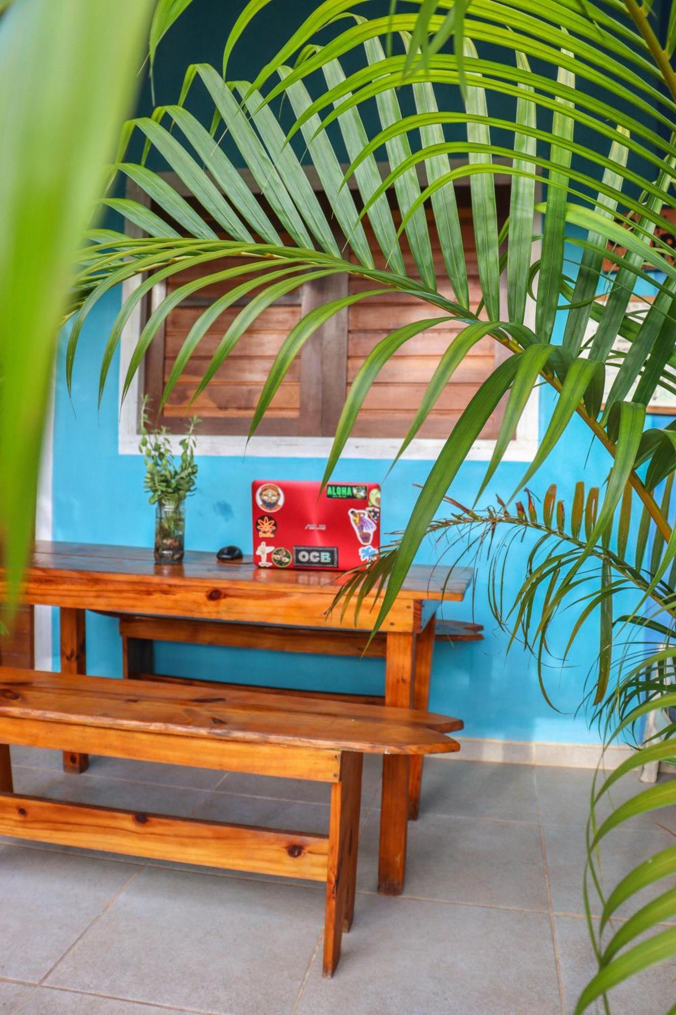 Back To The Beach Hostel - Pipa Praia de Pipa Ngoại thất bức ảnh