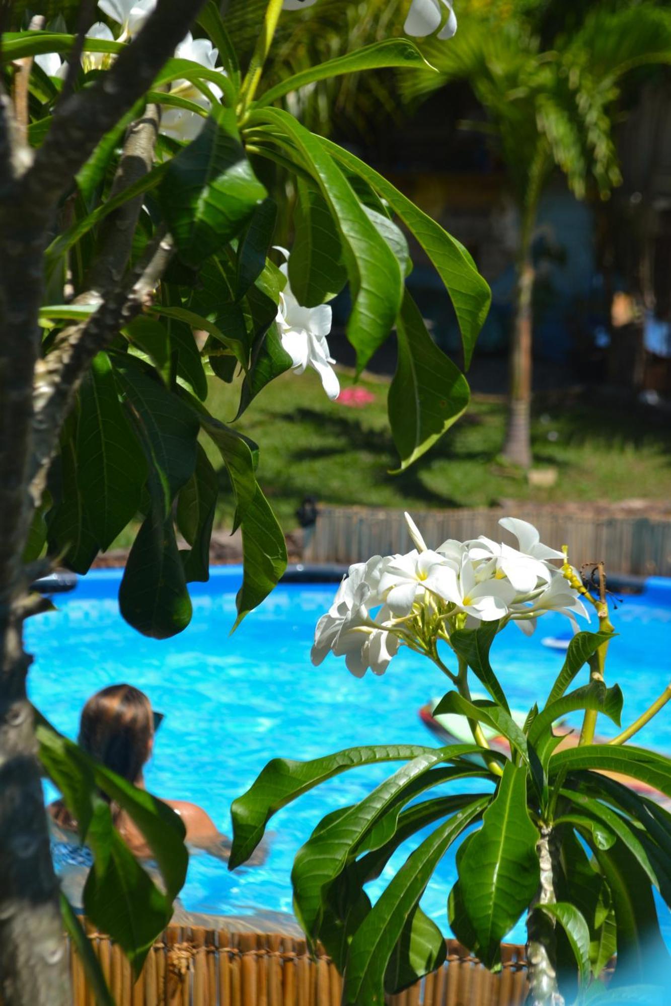 Back To The Beach Hostel - Pipa Praia de Pipa Ngoại thất bức ảnh
